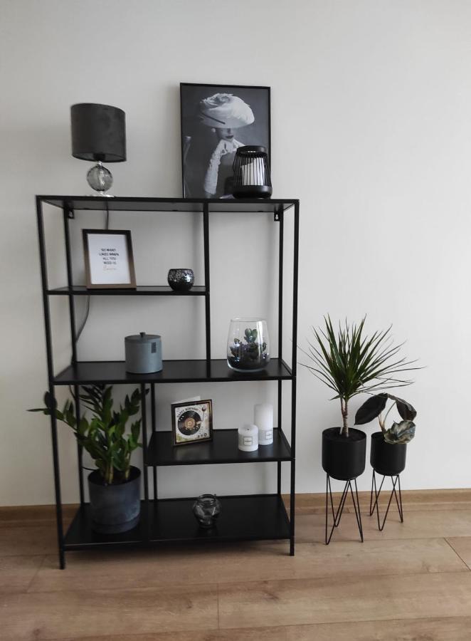 קאוצ'ן Apartament Mazury מראה חיצוני תמונה