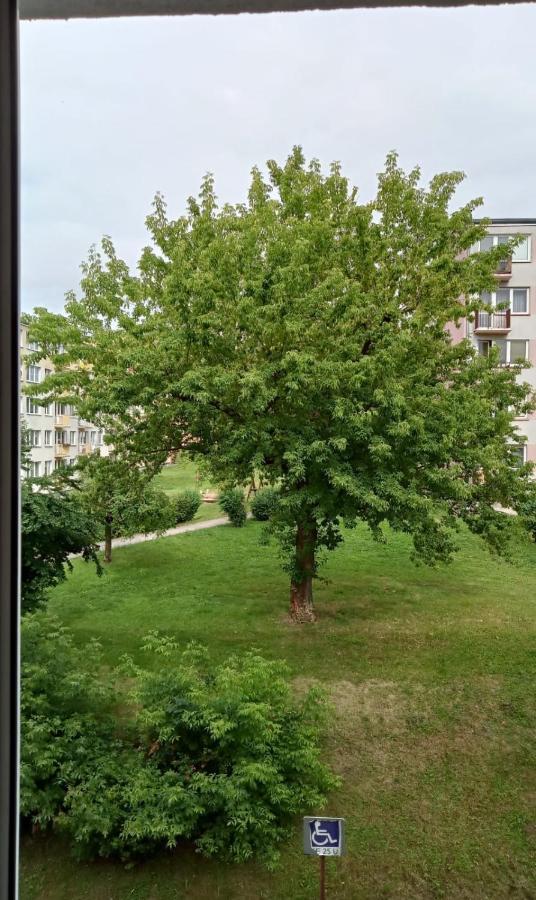 קאוצ'ן Apartament Mazury מראה חיצוני תמונה