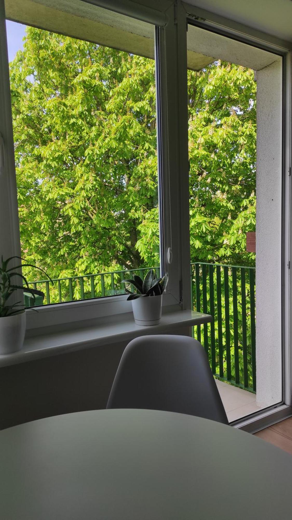 קאוצ'ן Apartament Mazury מראה חיצוני תמונה